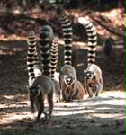 marching