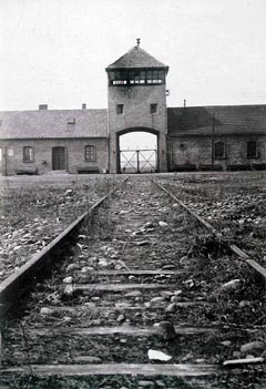 nie-auschwitz