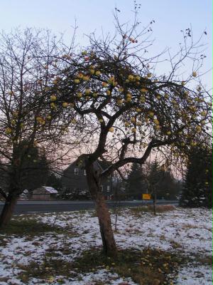 pict0055
