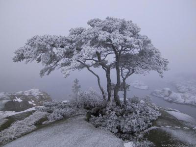 schneeinnorwegen-winter