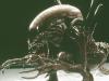 Ein "Xenomorph" aus der "Alien"-Reihe