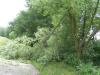 Sturm