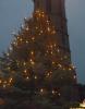 Tannebaum