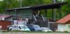 Tribuene-1-