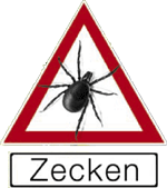 zecke