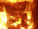 holz