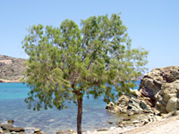 kreta