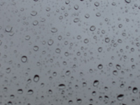 regen1