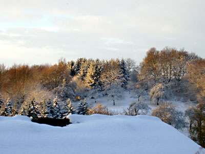 schnee