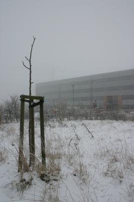 100105_flensborg_131