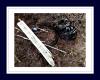 070411-0940-Kunst-im-Wald