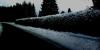 FH-Hecke