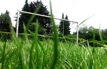 Foto004d