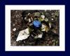 Kunst-im-Wald-2