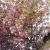 baum-2-