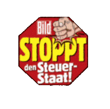 dumm-und-duemmer3