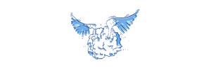 fliegende20steine