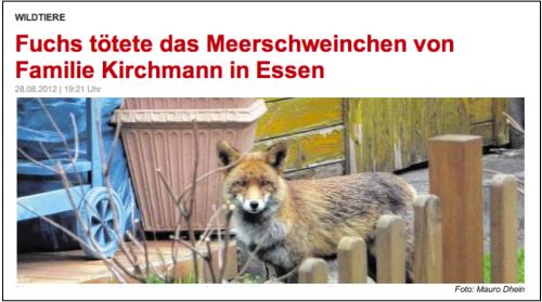 fuchs