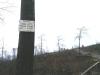 privatwald1