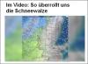 schneewalze2
