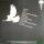 whitebird3