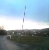 wilde-wiese