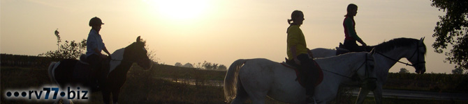 Reiten im Sonnenuntergang...