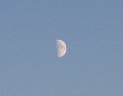 mond