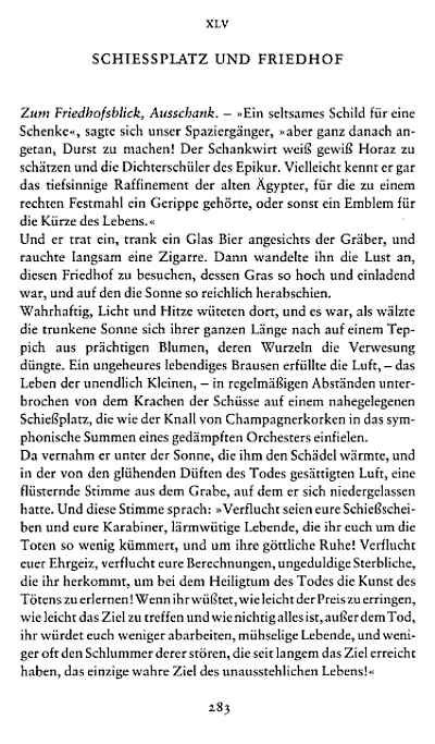 BAUDELAIRE_Schiessplatz_4