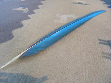 p1010009