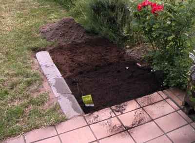 kraeutergarten_terasse_aussaat