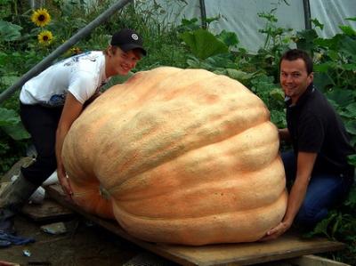 SteirischerKuerbis2009mini