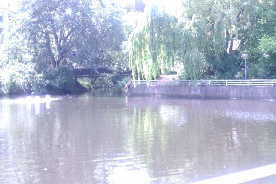 IMAG0130