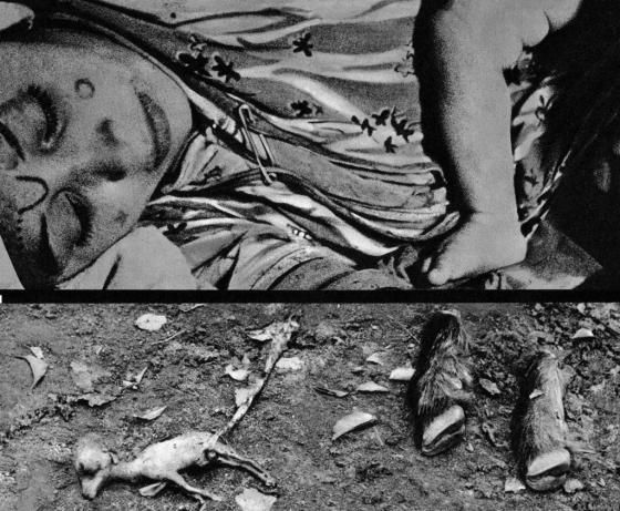 alvermann_algerien_06_c-jpg