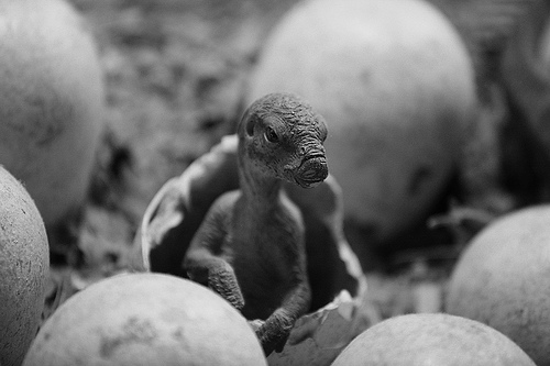 hatching-dinosaurs