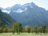 Großer Ahornboden im Tiroler Karwendelgebirge