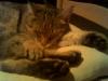 Bild0022