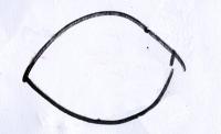 cat1