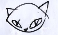 cat3