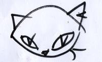 cat5