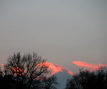 Abend-Hofgarten