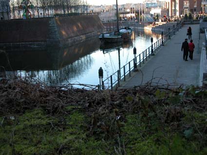 Alter-Hafen1