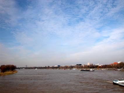 Am-Rhein2