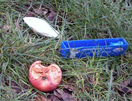 Apfel