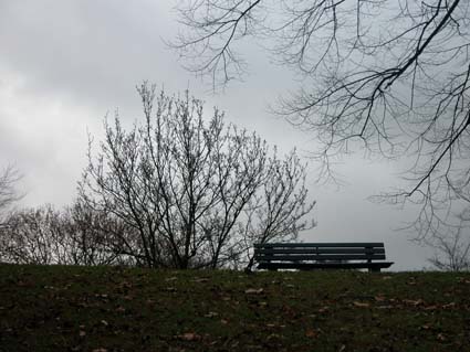 Bank-Hofgarten