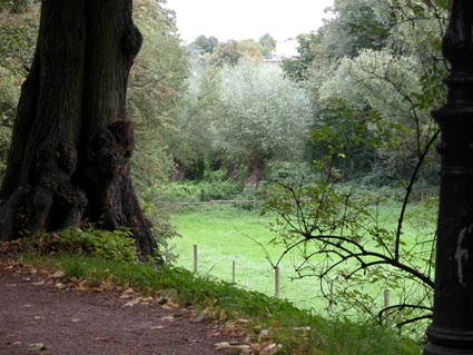 Baum-Weide