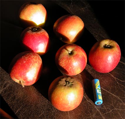 CoxOrange