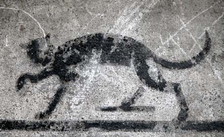 Die-Katze-vom-Greifweg