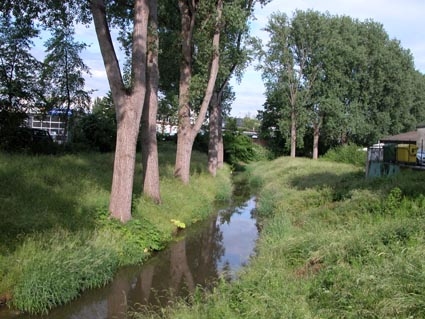 Duessel-Harffstrasse