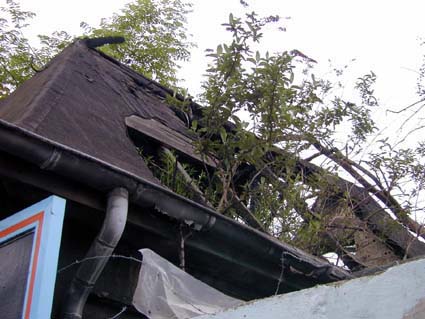 Durchwachsen